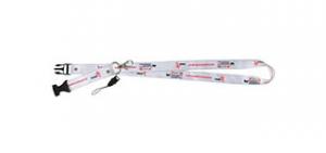 Lanyard