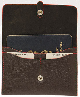 Passport Pouch